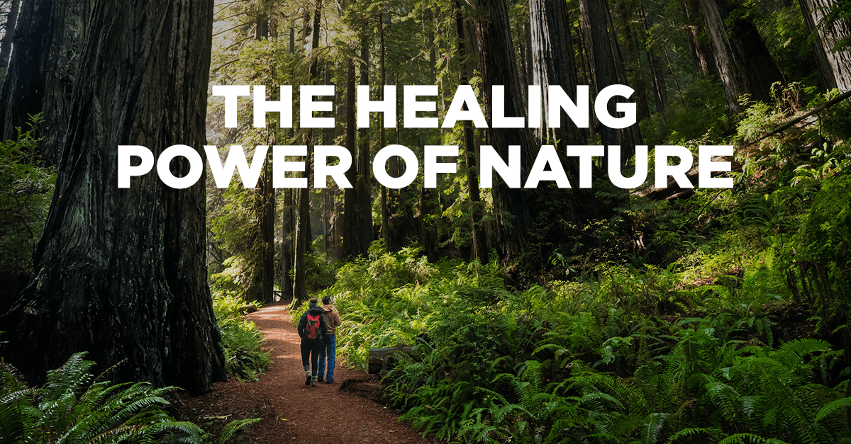 The Healing Power of Nature: Best Outdoor Destinations for Mind and Body